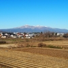 きょうの安達太良（健気にバラが咲いています・・・）