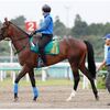 出資馬デビュー戦３戦連続3着ですか