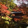 定光寺および定光寺公園の紅葉≪#3≫　「 定光寺 」境内