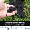 Biochar Market by 2024 - Top Companies, Trends and Future Prospects Details for Business Development