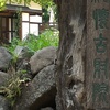 小諸06