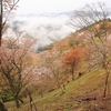 雨の吉野その1