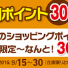 決算恒例～ショッピングポイント30倍セール！