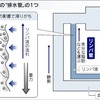 足のむくみの原因　リンパVS静脈①