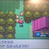 9周年から始めるポケモンプラチナプレイ日記(210番道路編)