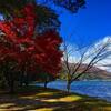 木崎湖の紅葉がとっても綺麗！