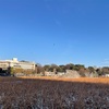 in 上野動物園