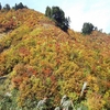 秋の白山スーパー林道