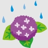 梅雨突入！温湿度比較、初夏・梅雨編。