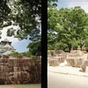 【フィルム】夏の大旅行・記録編 Vol.4