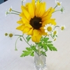 事務所のお花。