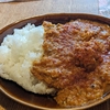 【レシピ】カシミールチキンカレー