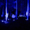 2022年のチームラボ偕楽園光の祭り（４）～つくば市とその周辺の風景写真案内（７１７）
