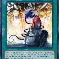 遊戯王引退　レモン　氷結界　魔術師　デッキ　パーツ 氷結界 | コレクターズ | ドラゴンスター | 遊戯王