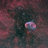 ＮＧＣ６８８８(Ｓｈ２－１０５)：はくちょう座の散光星雲