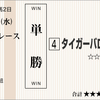 逃げて惜しい２着