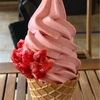 🚩外食日記(423)    宮崎   🆕「ひなたいちごカフェ」より、【Hinata Berry45(いちごソフトクリーム)】‼️