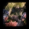 【418日目】人間