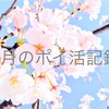 4月のポイ活記録🌸　1ヶ月でどのくらい稼げる？