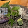 鹿児島＆屋久島＆ちょこっと宮崎7泊8日旅行: 3日目〜1年ぶり2度目の屋久島上陸