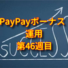 【長期積立】PayPayボーナス運用・週報・第46週目・チャレンジコースへ自動追加が最強の投資法