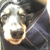 病院に行ってきました。