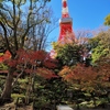 もみじ谷と東京タワー