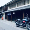 麗人