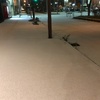 雪積もってた