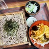 富山市にある老舗うどん・そば処で、ざるそばに、ミニ天丼
