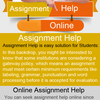 Need of Various Online Platform for Assignment Help in USA