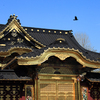 関東の金ピカ神社巡り〜♫  フツヌシ様はどなた様？
