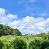 夏雲