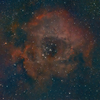 NGC2244　薔薇星雲
