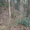 青山城　（比企郡　小川町）
