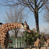 「こども動物自然公園」へ