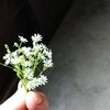 かわいい草花のお茶