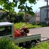 草刈り！！