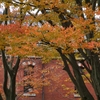 赤レンガと紅葉「石川四高記念文化交流館」