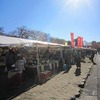 小金井公園大陶器市と紅葉（東京都小金井市）