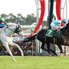 競馬初心者必見☆馬券予想🔥〜中日新聞杯〜3歳馬が古馬を撃破する！