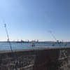 雪の翌日カレイ狙い☆彡横浜