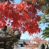 紅葉の季節に…聖徳太子ゆかりの「龍田神社」