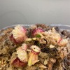 セファロタス成長記録=2026/8月3日 #食虫植物 #セファロタス #icos #著作権無料 #BGM