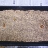 自分で蒔いた種だから