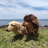 内房の旅