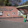 #シャンシャン#上野動物園