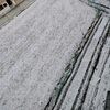 雪の日の通勤