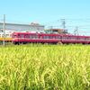 田園風景をゆく還暦の赤い電車