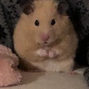 資格独学至上主義